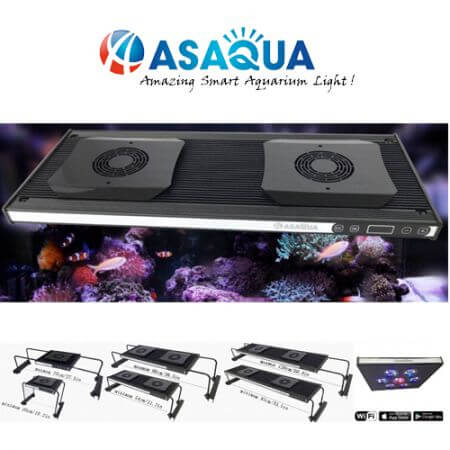 ASAqua smart CREE-LED fittings