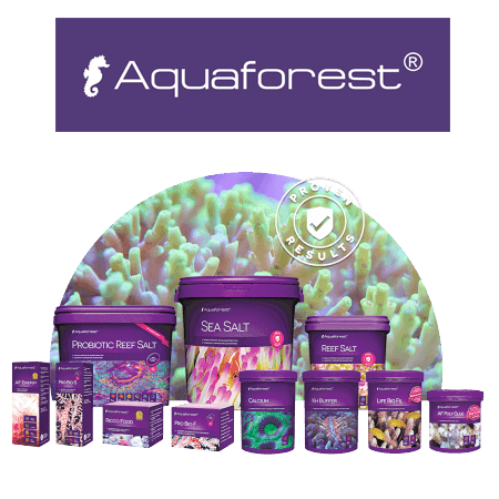 AquaForest water care