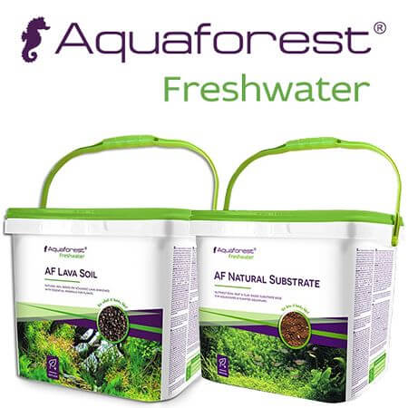 Aquaforest freshwater soil cover