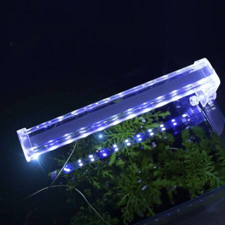 Crystal clear Crystal clip-on LED lamps