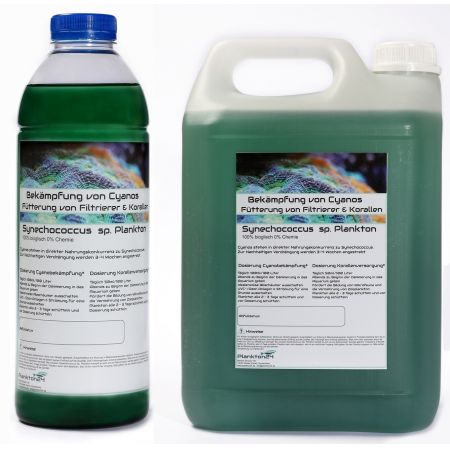 Plankton24 - Synechococcus (against cyan deposits) 1 Liter