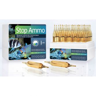 STOP AMMO produced 6 Amp.