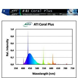 T5 TL 24 watts - Coral plus - ATI