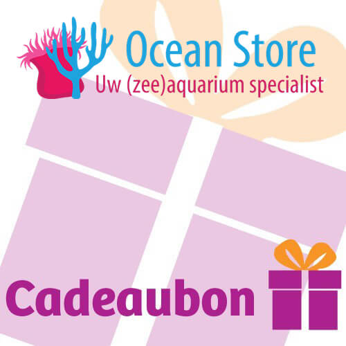 Ocean Store Gift voucher