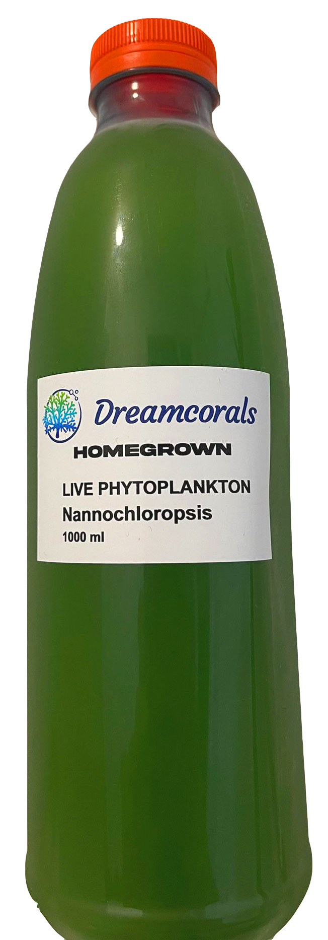 Phytopreme Live Phytoplankton 8oz – Micro Algae Feed For Reef Corals, Rotifers, Copepods In Marine Aquariums