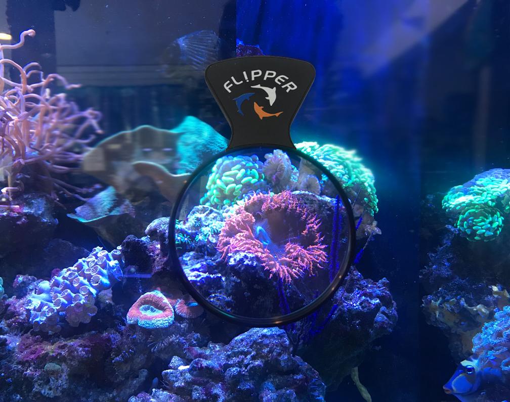 Flipper Deepsee Viewer Magnifier – Orange Filter Lens For Coral & Fish Spotting