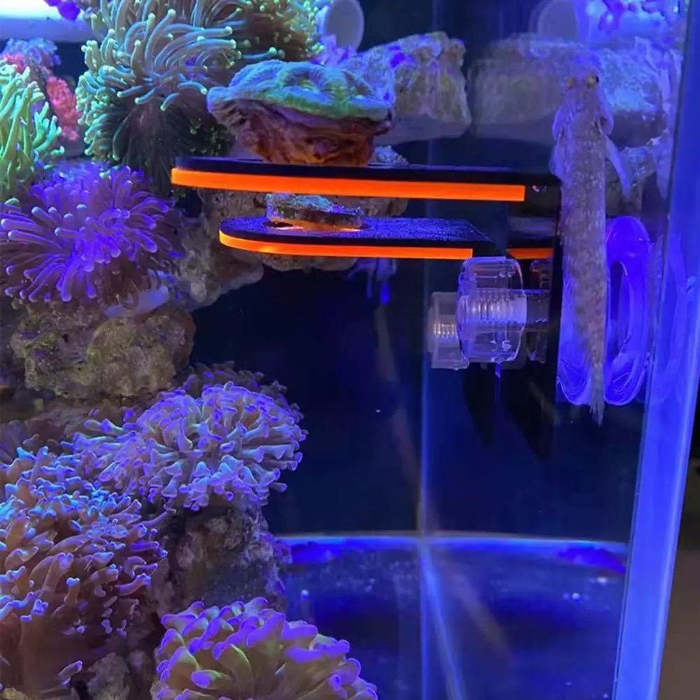 Fluoriserende Coral Frag Brackets