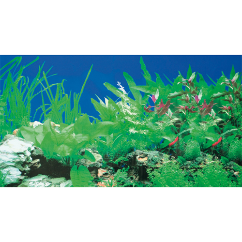 Hobby Photo back wall plants 1 | Hobby Photo backgrounds | (Reef) aquariums
