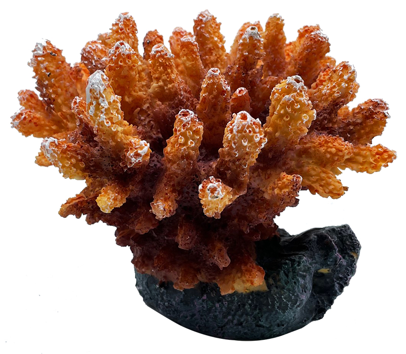 meloen Ervaren persoon media Artificial Coral Acropora Orange White | Artificial Corals | Stones &  ground cover
