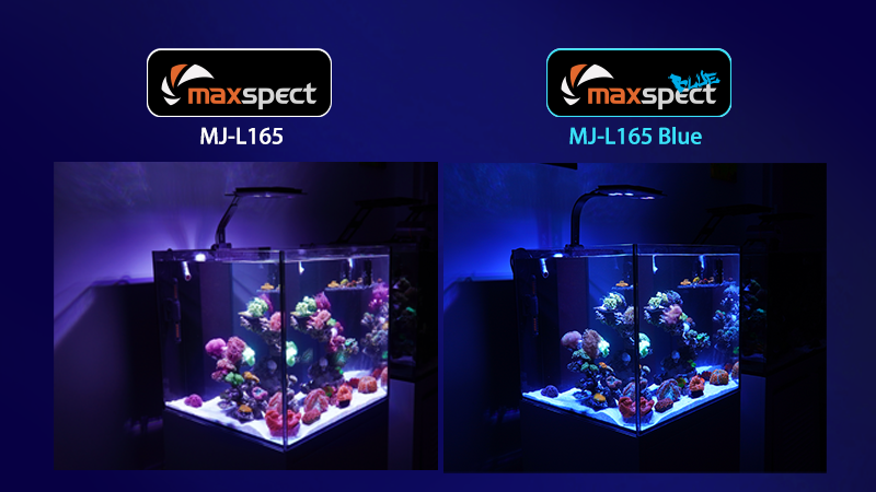 Maxspect Jump MJ-L165 LED fixture 65watt | Lighting