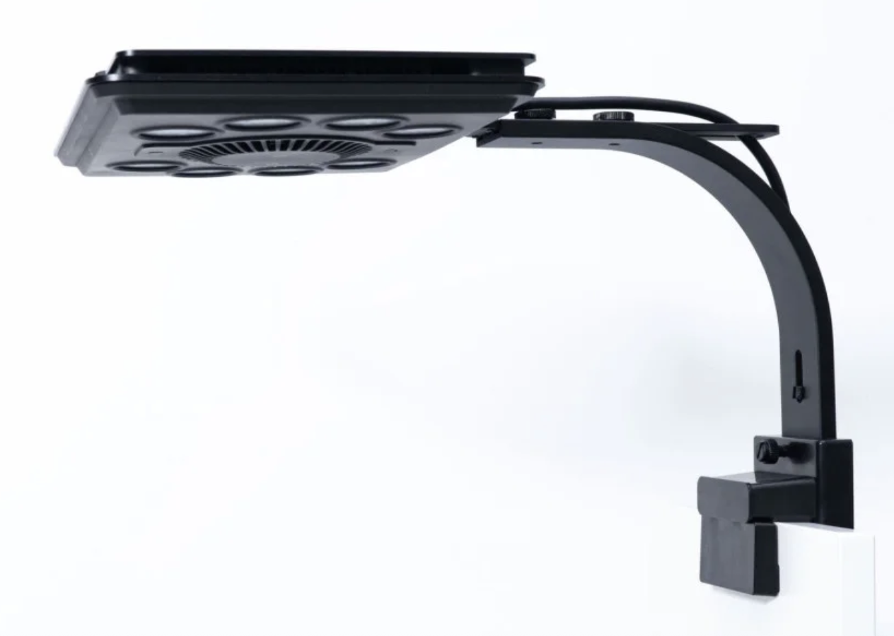 CELLBODY J5 EMS LED キャビテーション Maxspect Jump MJ-L260B LED BLUE fixture 63 watts | Lighting