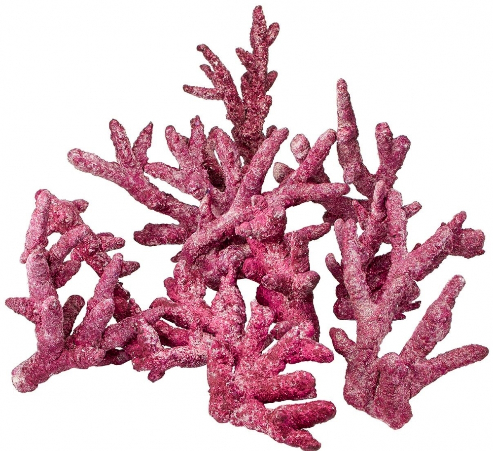 https://reef-aquarium-store.com/content/Filemanager/real-reef-rock-branched-15kg.png_June-22-2023-1043am.png