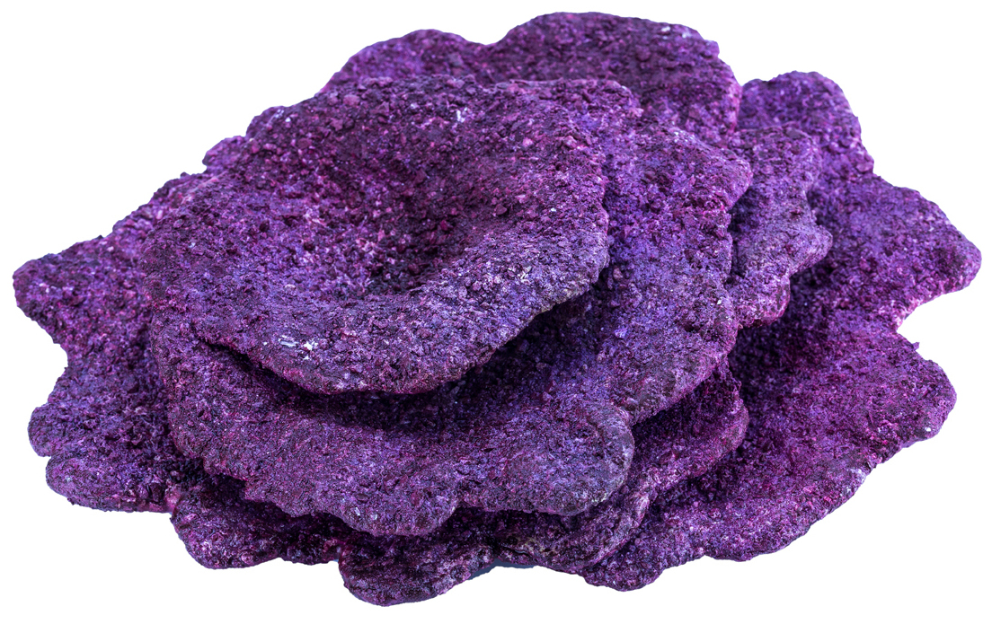 Real Reef Rock - Plates corals (10pcs)., Reel Reef Rock