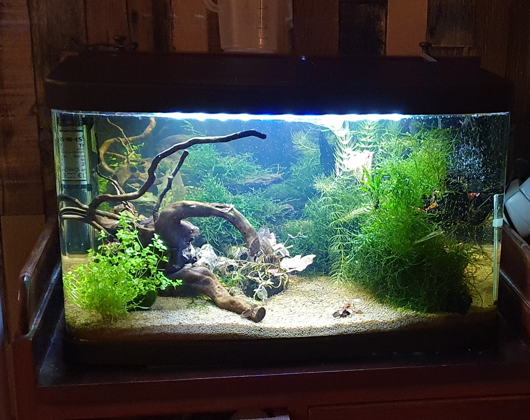 Resun Aquarium complete - - with LED and corner filter (Reef) aquariums