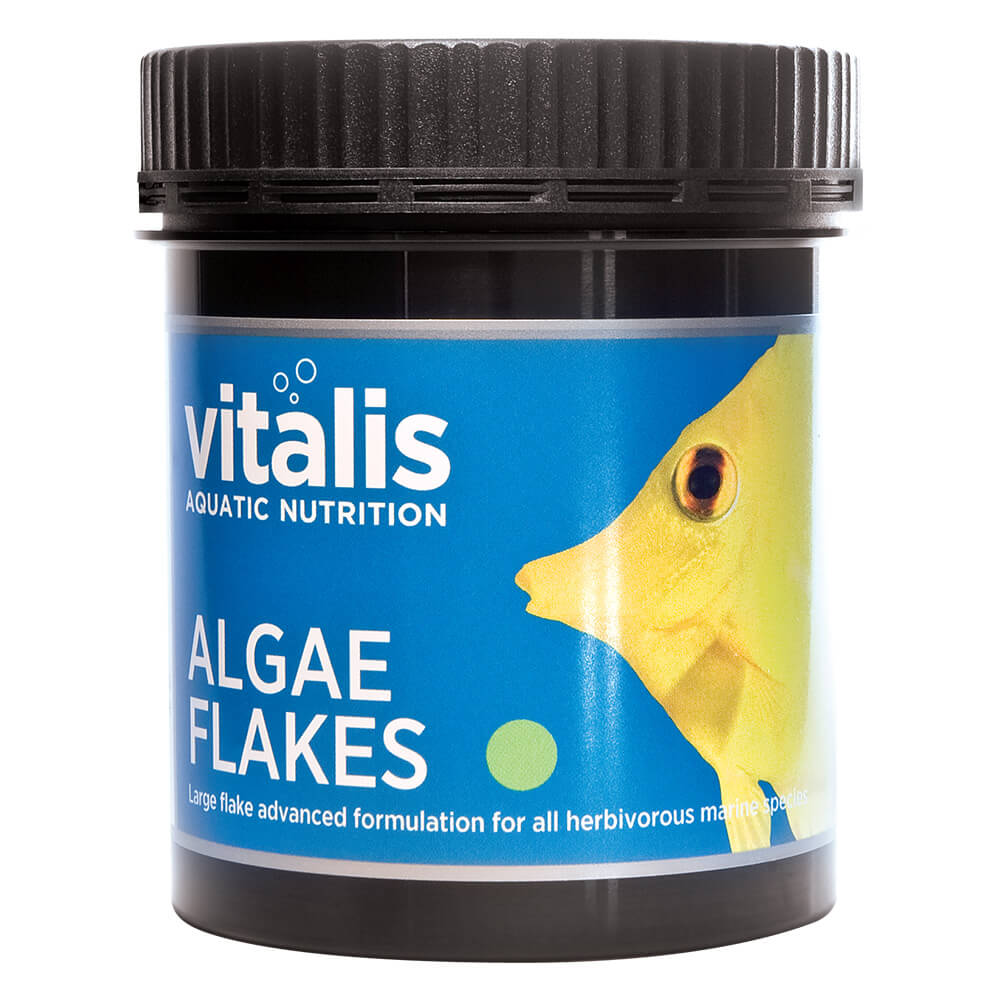 vitalis algae flakes