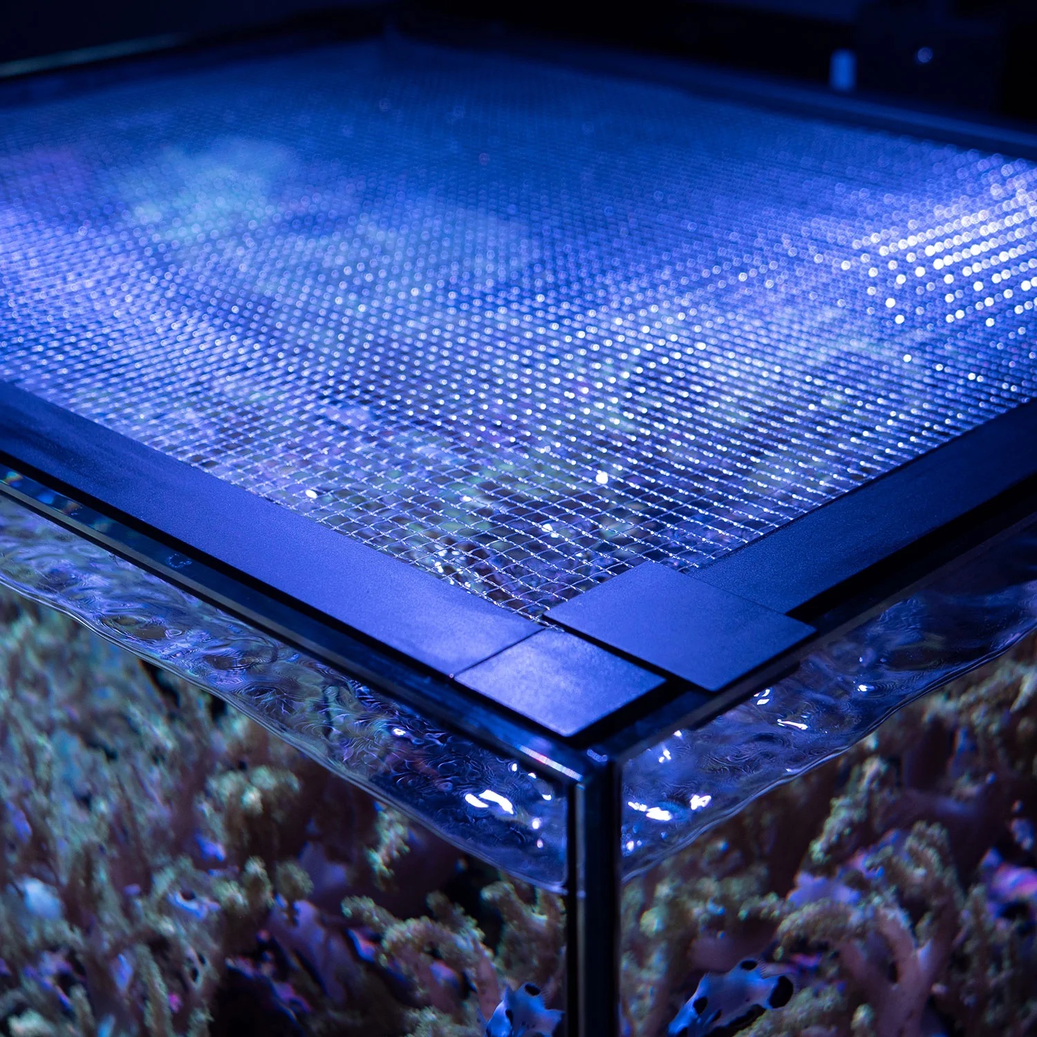 Plastic Starter Aquarium Fish Tank Carry Handle Lid Extra Large 29