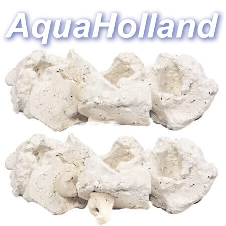 AquaHolland frag rocks