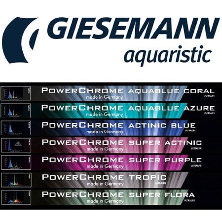 Giesemann T5 tubes