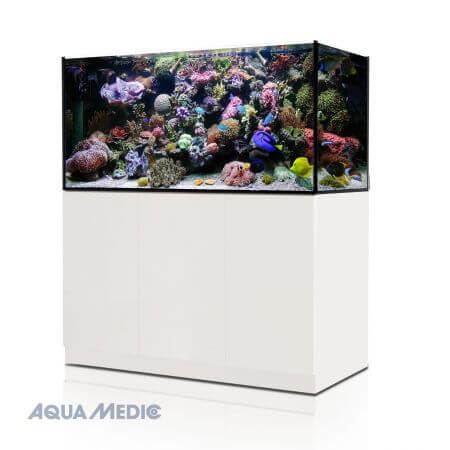 Aqua Medic Xenia marine aquariums