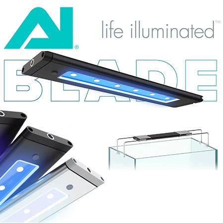 DD AI BLADE LED lighting & parts