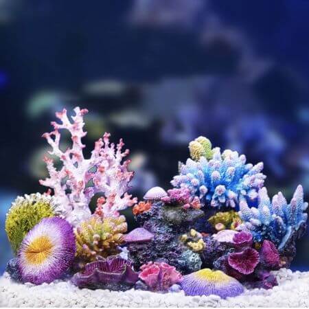 Artificial Corals