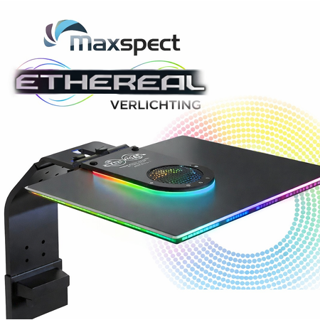 Maxspect Ethereal