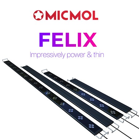 MicMol Felix G2 LED lighting