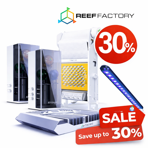 Reef Factory sale