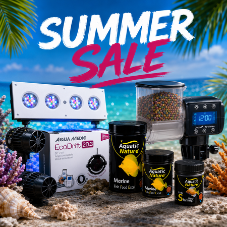 Summer Sale! High discounts!