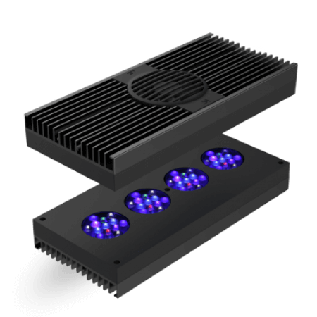 Aqua Illumination Hydra 52 HD Black