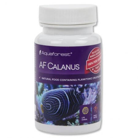 Aquaforest Calanus (Calanidae)