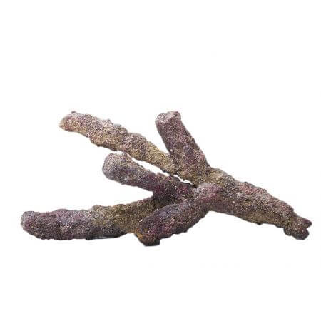Caribsea Life Rock Belize Branch Rock (branches) box a 9.07 Kg (Second chance)