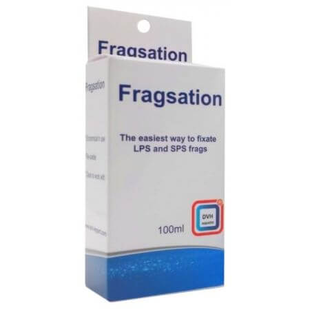 DvH Fragsation 
