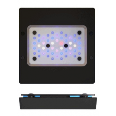 Ecotech Radion XR15 G6 Blue (Second chance)