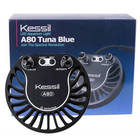 Kessil LED A80 Tuna Blue (Second change)