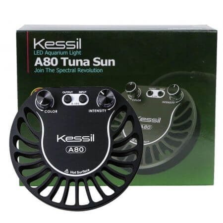 Kessil LED A80 Tuna Sun