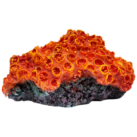Artificial coral Strawberry coral