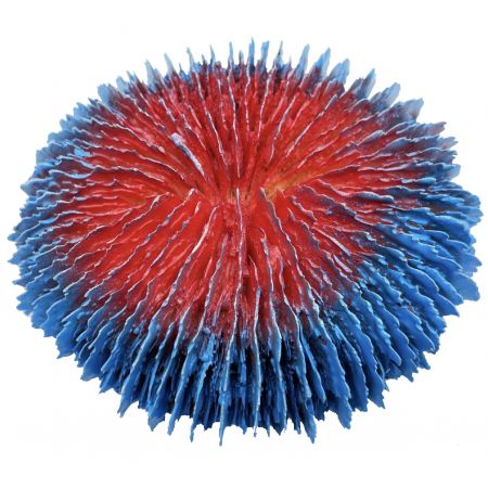 Artificial coral Fungia Blue Red