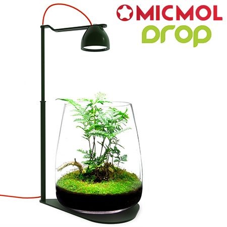 MicMol Drop (Second chance)