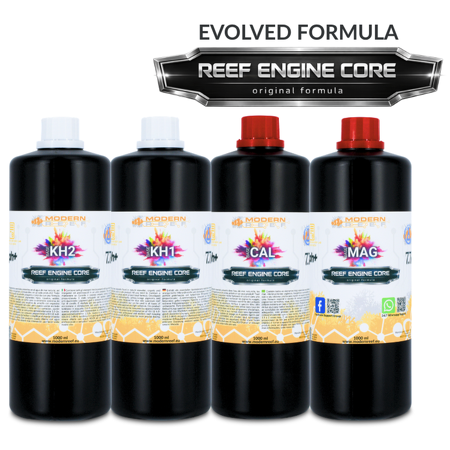 Modern Reef - RKS REEF ENGINE CORE 7.7x High Concentrate - 4×1000 ml