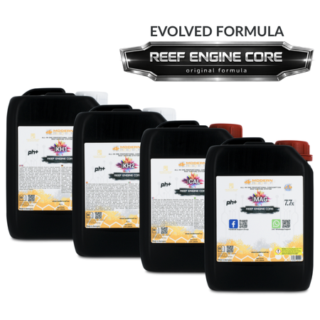Modern Reef - RKS REEF ENGINE CORE 7.7x High Concentrate - 4×2500 ml
