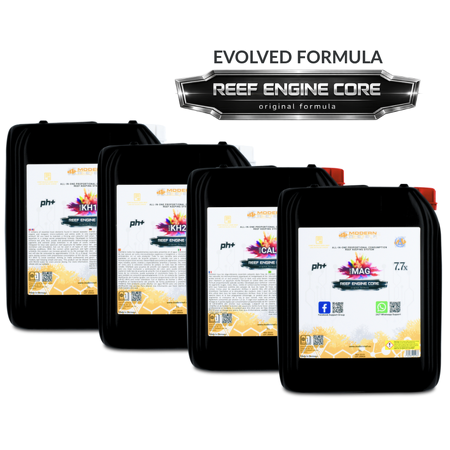 Modern Reef - RKS REEF ENGINE CORE 7.7x High Concentrate - 4×5000 ml