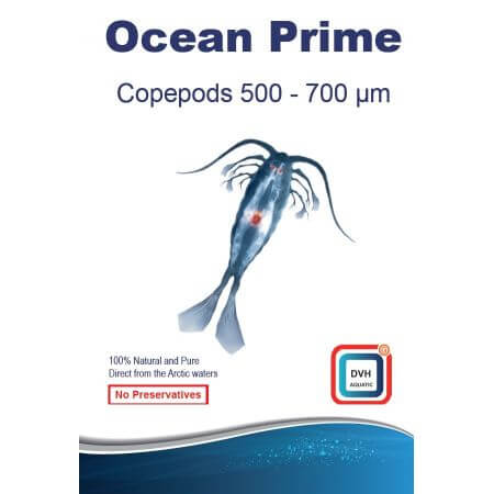 Ocean Prime Copepods