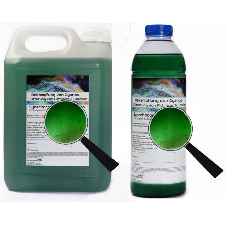 Plankton24 - Synechococcus with zooplankton (against cyan deposits) 5 Liter
