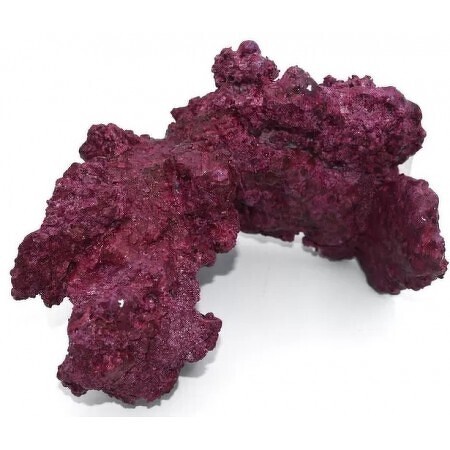 Real Reef Rock - Real Reef Arches Extra Large - 2 pieces in a box (35-40 cm)