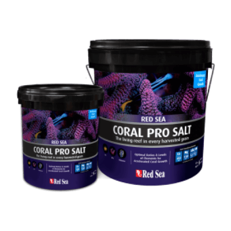 Red Sea Coral Pro salt 22 kg bucket (Second chance)