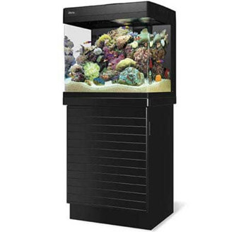 sea level aquarium store