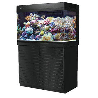 sea level aquarium store