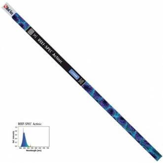 Red Sea T5 TL tube - Actinic blue 22,000K