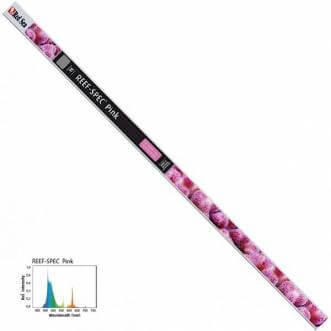 Red Sea T5 TL tube - Pink - for extra color